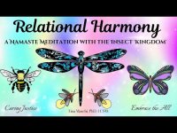 Relational Harmony: A Namaste Meditation with the Insect Kingdom (includes soothing buzzing of bees) Relational Harmony: A Namaste Meditation with the Insect Kingdom (includes soothing buzzing of bees)