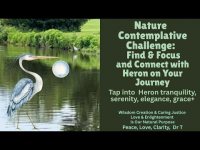 Nature Challenge Game: Tap Your Inner Heron and Embody Patience, Tranquility, Serenity, Elegance+ Nature Challenge Game: Tap Your Inner Heron and Embody Patience, Tranquility, Serenity, Elegance+
