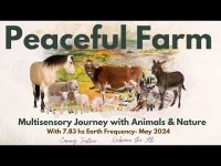 Peaceful Farm Animals and Nature Music Meditation with Peaceful Farm Animals and Nature Music Meditation with