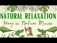 Natural Relaxation: Harp in Nature Music (loopable)