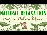 Natural Relaxation: Harp in Nature Music (loopable) Natural Relaxation: Harp in Nature Music (loopable)