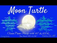 Moon Turtle: Ocean Piano Muzic with 417 & 432 hz