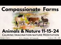 Animals and Nature Calming & Happy Meditation on  Compassionate Farms 11-15-24 Animals and Nature Calming & Happy Meditation on  Compassionate Farms 11-15-24