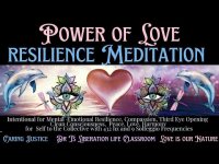 POWER OF LOVE RESILIENCE MEDITATION POWER OF LOVE RESILIENCE MEDITATION