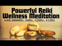 Powerful Reiki Wellness Meditation (with 10000Hz, 111Hz, 528Hz, 432Hz-loopable)