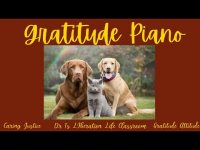Gratitude Piano: Beautiful Music for the Heart and Soul (loopable)