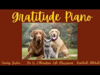 Gratitude Piano: Beautiful Music for the Heart and Soul (loopable) Gratitude Piano: Beautiful Music for the Heart and Soul (loopable)