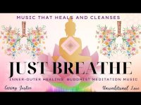 Just Breathe  A Holistic Healing Buddhist Meditation with Mindful Breathing Pulse for AK & LD Just Breathe  A Holistic Healing Buddhist Meditation with Mindful Breathing Pulse for AK & LD