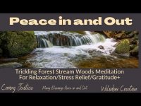 Peace is Natural: Peace In and Out (loopable) Peace is Natural: Peace In and Out (loopable)