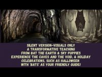 Teachings from Bat (Silent &Visual): Transform with Bat in the Void, Rebirth New You, Celebrate! Teachings from Bat (Silent &Visual): Transform with Bat in the Void, Rebirth New You, Celebrate!