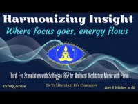 Harmonizing Insight-'where focus goes, energy flows (Lessons from your Third Eye) Harmonizing Insight-'where focus goes, energy flows (Lessons from your Third Eye)