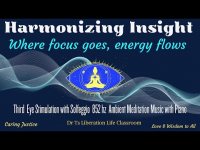 Harmonizing Insight-'where focus goes, energy flows (Lessons from your Third Eye)