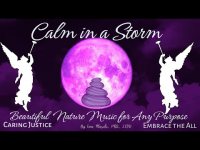 Calm in a Storm Beautiful Nature Music for Any Purpose