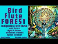 Bird Flute FOREST Indigenous Flute Music with Natural Sights & Sounds Meditation loopable Bird Flute FOREST Indigenous Flute Music with Natural Sights & Sounds Meditation loopable