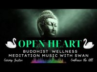 OPEN HEART- BUDDHIST WELLNESS MEDITATION MUSIC with SWAN and F Note (Heart and Thymus)
