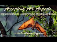 Accepting All Aspects: Inner Contemplative Life Lessons from Bat on Light & Shadow w/Binaural Beats Accepting All Aspects: Inner Contemplative Life Lessons from Bat on Light & Shadow w/Binaural Beats