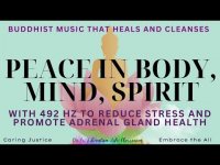 Peace in Body, Mind, Spirit: Cleansing Buddhist Music (w/492 hz for adrenal gland-stress relief) Peace in Body, Mind, Spirit: Cleansing Buddhist Music (w/492 hz for adrenal gland-stress relief)