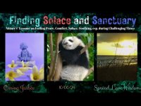 Finding Solace in Sanctuary: Nature's Lessons on Experiencing Comfort, Solace+ in Challenging Times Finding Solace in Sanctuary: Nature's Lessons on Experiencing Comfort, Solace+ in Challenging Times