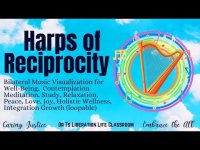 Harps of Reciprocity-Bilateral Music Visualization for Well-Being,  Meditation, Study, Relaxation