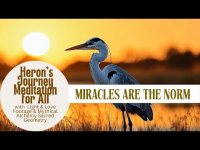 Heron's Journey Nature Music & Meditation-Light-Love-Sight & Sounds & Mystical Sacred Geometry Heron's Journey Nature Music & Meditation-Light-Love-Sight & Sounds & Mystical Sacred Geometry