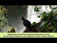 Meditation 5 Gratitude &  Stillness & Whispers  of the Divine with 432 hz, Flute, Elementals,+ Meditation 5 Gratitude &  Stillness & Whispers  of the Divine with 432 hz, Flute, Elementals,+