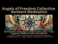 Angels of Freedom Collective Sentient Meditation Angels of Freedom Collective Sentient Meditation