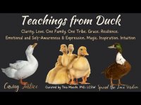 Teachings from Duck: Clarity. Love, One Family, One Tribe, Grace, Resilience, + Teachings from Duck: Clarity. Love, One Family, One Tribe, Grace, Resilience, +