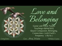 Love and BelongingGoose and Poetic NatureTeachings-09/04/2025 Love and BelongingGoose and Poetic NatureTeachings-09/04/2025