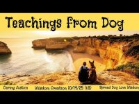Teachings from Dog: Unconditional Love, Adventure, Dependability, Inquisitiveness, Support,  Faith++ Teachings from Dog: Unconditional Love, Adventure, Dependability, Inquisitiveness, Support,  Faith++
