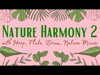 Angelic Nature Harmonics with Harp, Flute, and Drum (loopable)