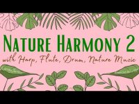 Angelic Nature Harmonics with Harp, Flute, and Drum (loopable) Angelic Nature Harmonics with Harp, Flute, and Drum (loopable)