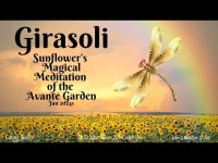 Girasoli Sunflower Magical Meditation of the Avante Garden Featuring Bee Girasoli Sunflower Magical Meditation of the Avante Garden Featuring Bee