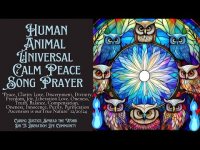 If You Are Seeking Peace, Calmness, Enlightened Selfie Wisdom-Experience this Calm Peace Prayer! If You Are Seeking Peace, Calmness, Enlightened Selfie Wisdom-Experience this Calm Peace Prayer!