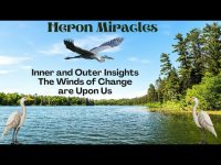 Heron Miracles: Winds of Change are Upon Us-with  White & Black Herons & Nature Footage 07/06/25 Heron Miracles: Winds of Change are Upon Us-with  White & Black Herons & Nature Footage 07/06/25