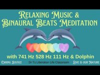 RELAXING MUSIC &BINAURAL BEATS MEDITATION with 741 Hz 528 Hz 111 Hz & Dolphin