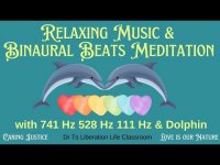 RELAXING MUSIC &BINAURAL BEATS MEDITATION with 741 Hz 528 Hz 111 Hz & Dolphin RELAXING MUSIC &BINAURAL BEATS MEDITATION with 741 Hz 528 Hz 111 Hz & Dolphin