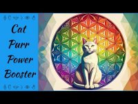 42 seconds of Cat Purr Power Booster (Soothing & Loopable) 42 seconds of Cat Purr Power Booster (Soothing & Loopable)